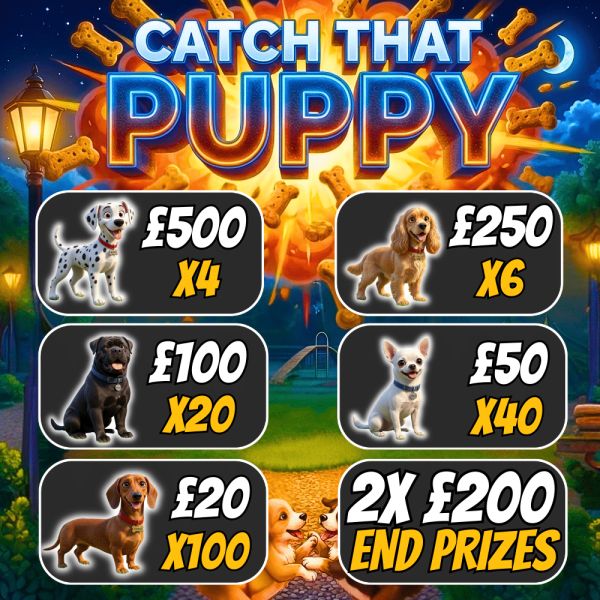 Catch That Puppy