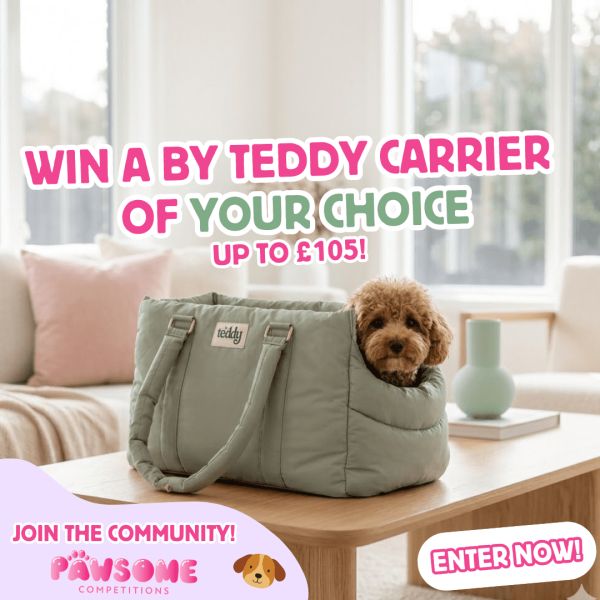WIN A By Teddy Dog Carrier Of Your Choice 🐶