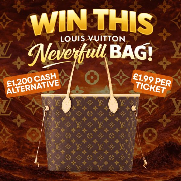 Louis Vuitton Neverfull Bag #2