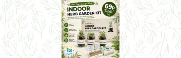 Indoor Herb Garden