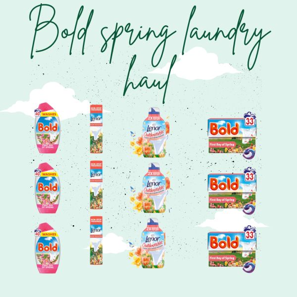 NEW! BOLD SPRING LAUNDRY HAUL