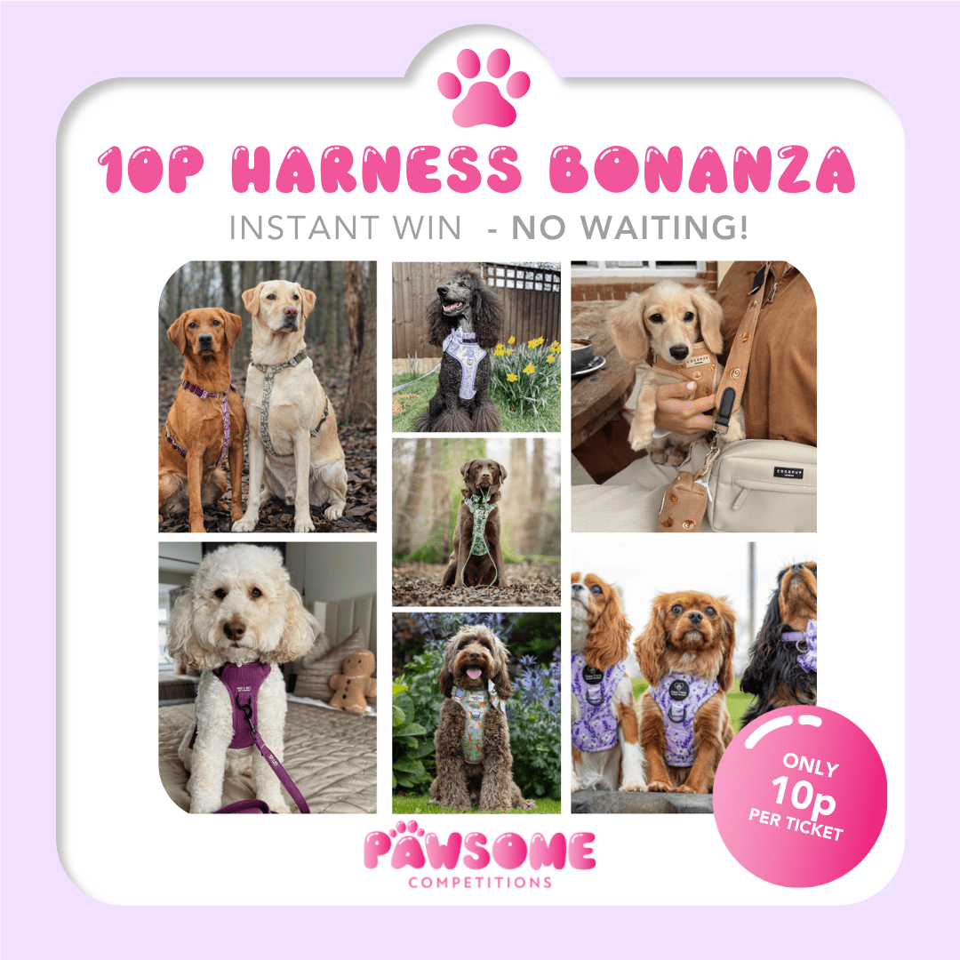 INSTANT WIN – 10p Harness Bonanza 🐶