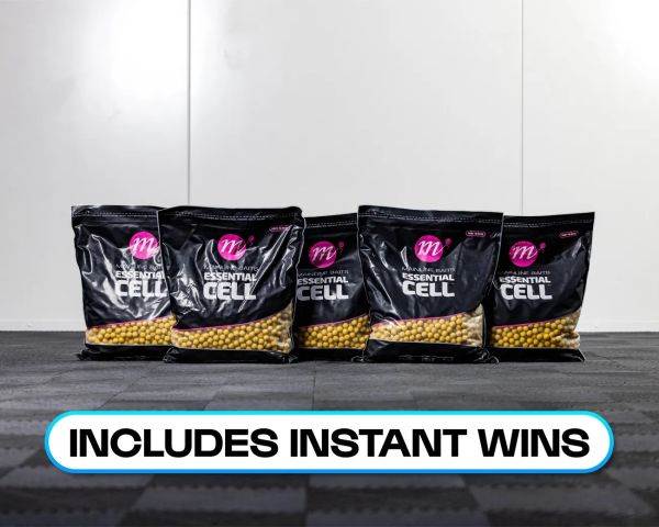 25KG MAINLINE ESSENTIAL CELL!