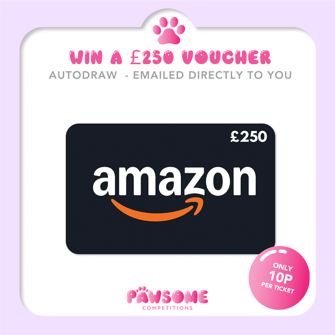 AUTODRAW – WIN A £250 Amazon Voucher