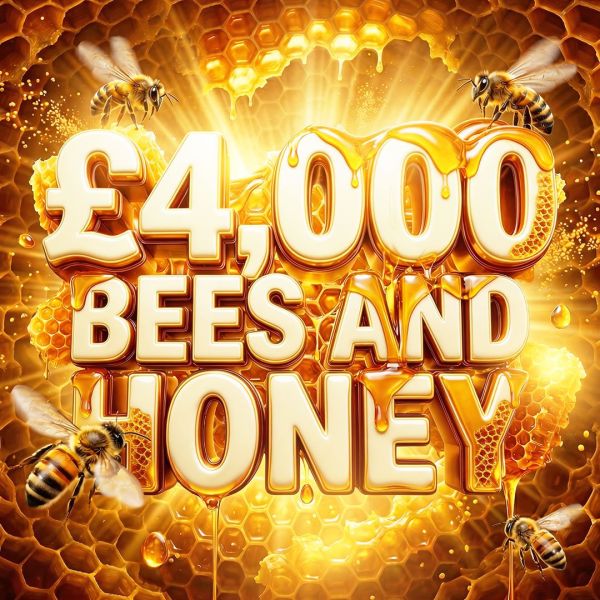 £4K BEE’S AND HONEY SLOTS – £200 SITE CREDIT END PRIZE