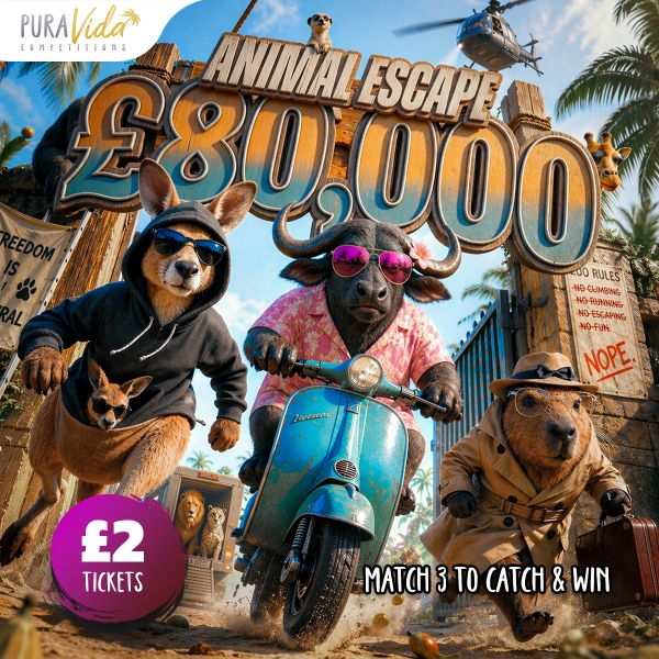 £80,000 Match & Catch: Animal Escape