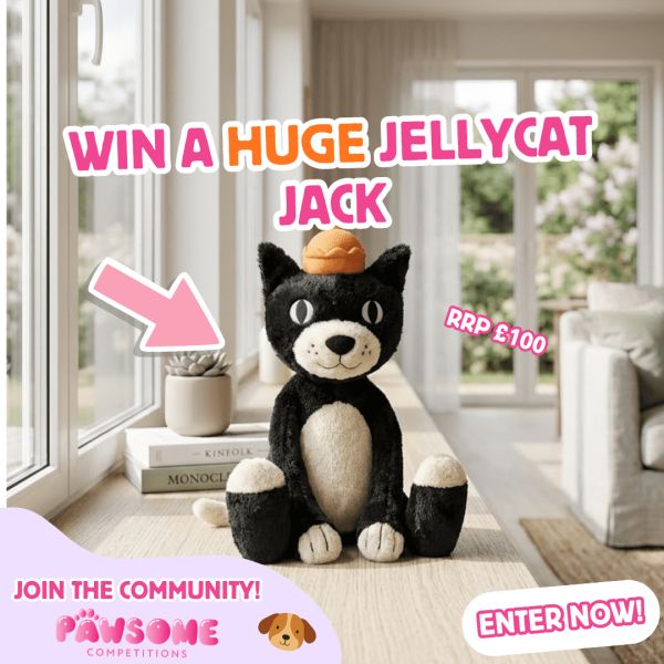 WIN A Huge Jellycat Jack 🐈