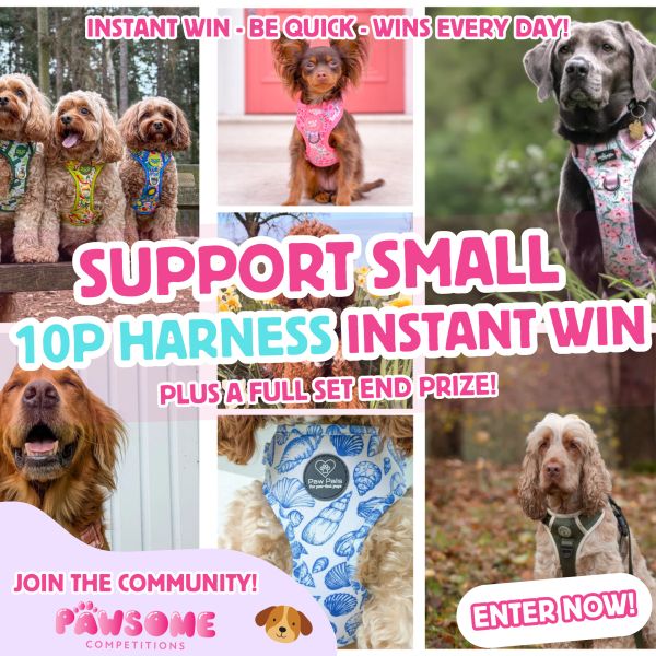 INSTANT WIN – Support Small – 10p Harness! 🐶