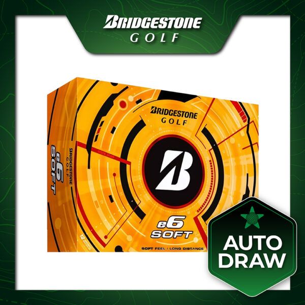 AUTO-DRAW: WIN 12 DOZEN BRIDGESTONE E6 SOFT GOLF BALLS #1