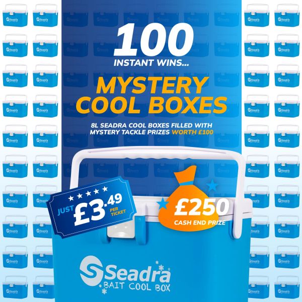 100 X £100 Mystery Prizes!