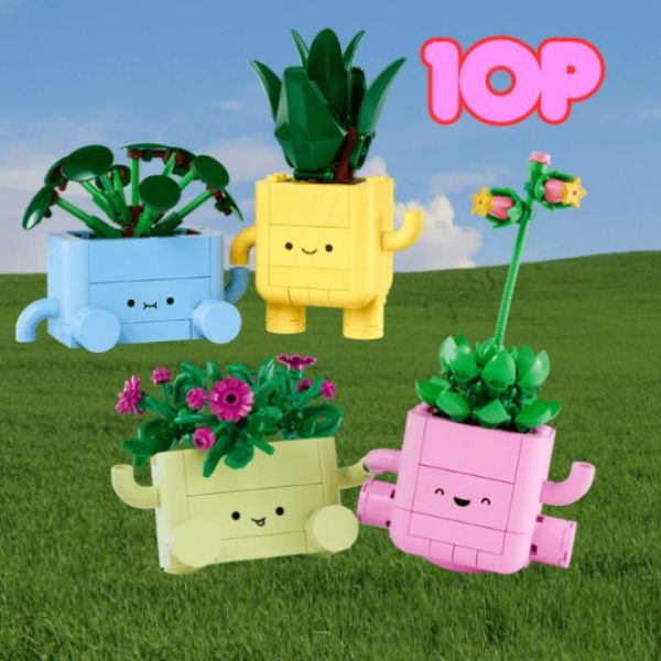 THE HAPPY ROCKING PLANT BUNDLE-10349-11506