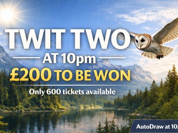 Twit-Two at 10 (Low Odds Comp)