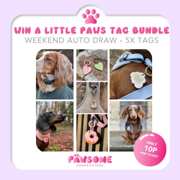 AUTODRAW – WIN A Little Paws Tag Bundle🐶