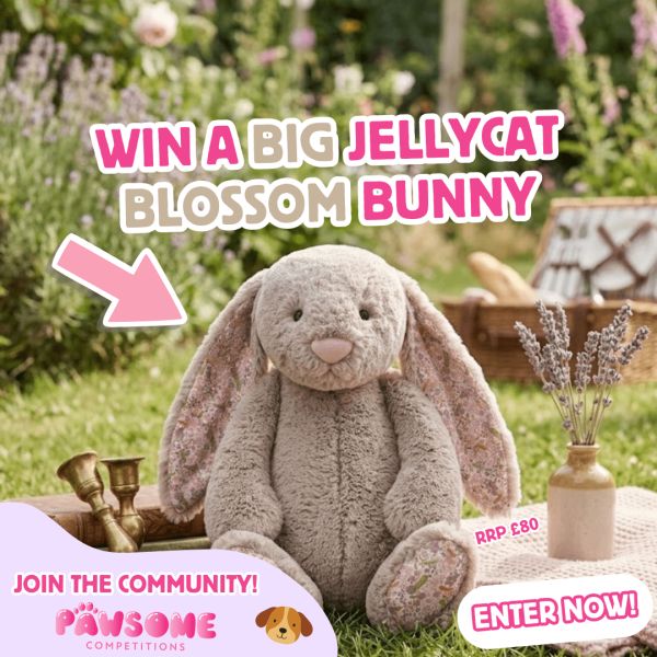 WIN A BIG Jellycat Blossom Bunny 🐰