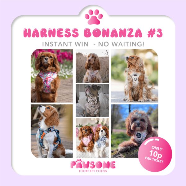 INSTANT WIN – 10p Harness Bonanza #3🐶