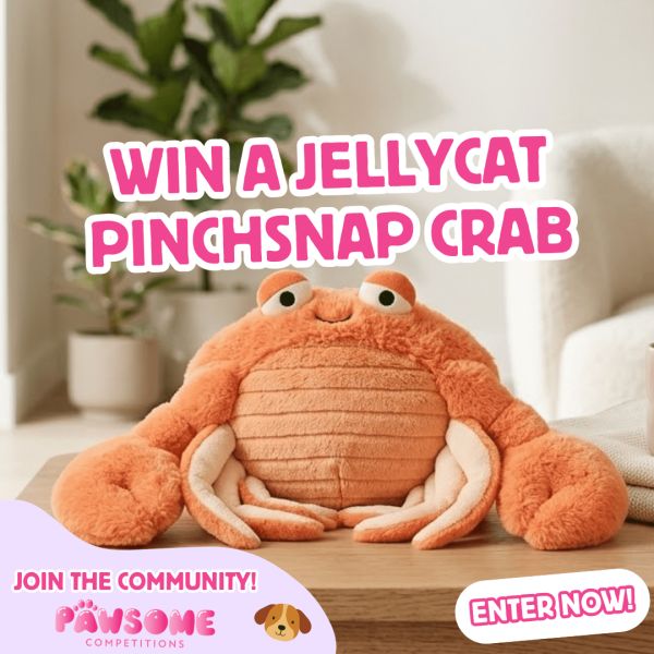 WIN A Jellycat Pinchsnap Crab 🦀