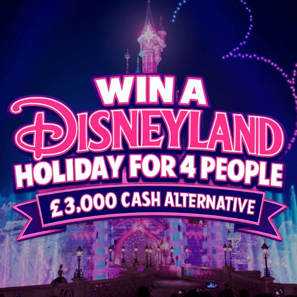 DISNEYLAND HOLIDAY PACKAGE FOR 4 #2