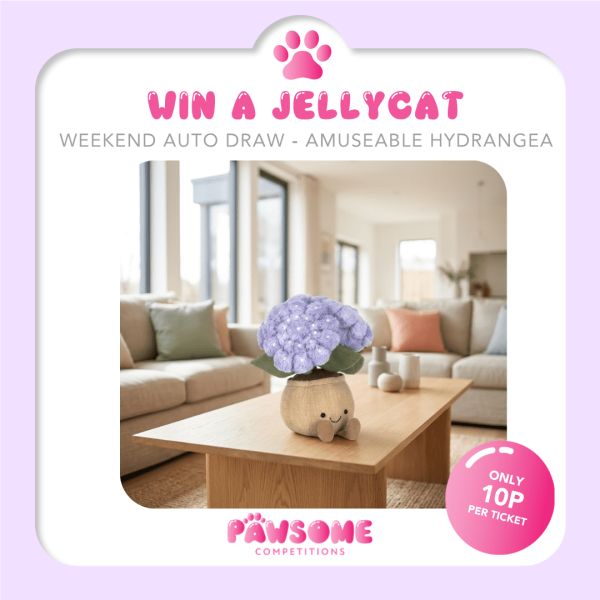 AUTODRAW – WIN A Jellycat Hydrangea🌸