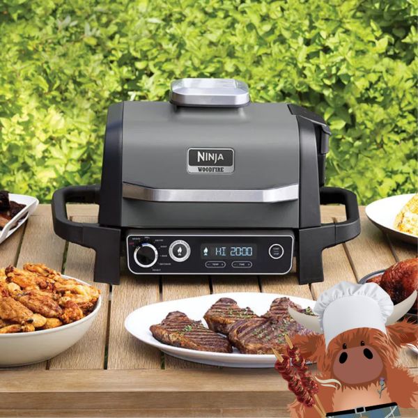 Ninja Woodfire Electric BBQ Grill & Smoker