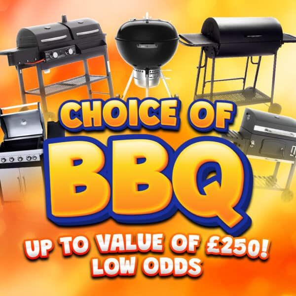 Choice Of Barbecue Up To Value of £250