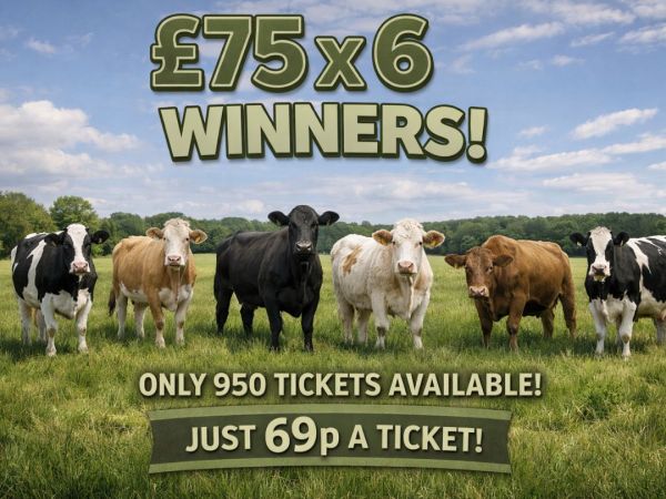 £75 Cash x6 Winners