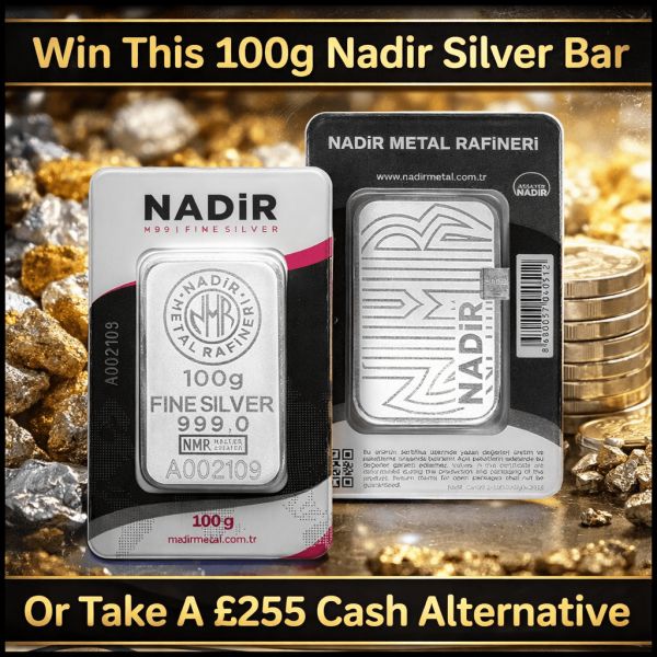 Nadir 100g Silver Bar #2