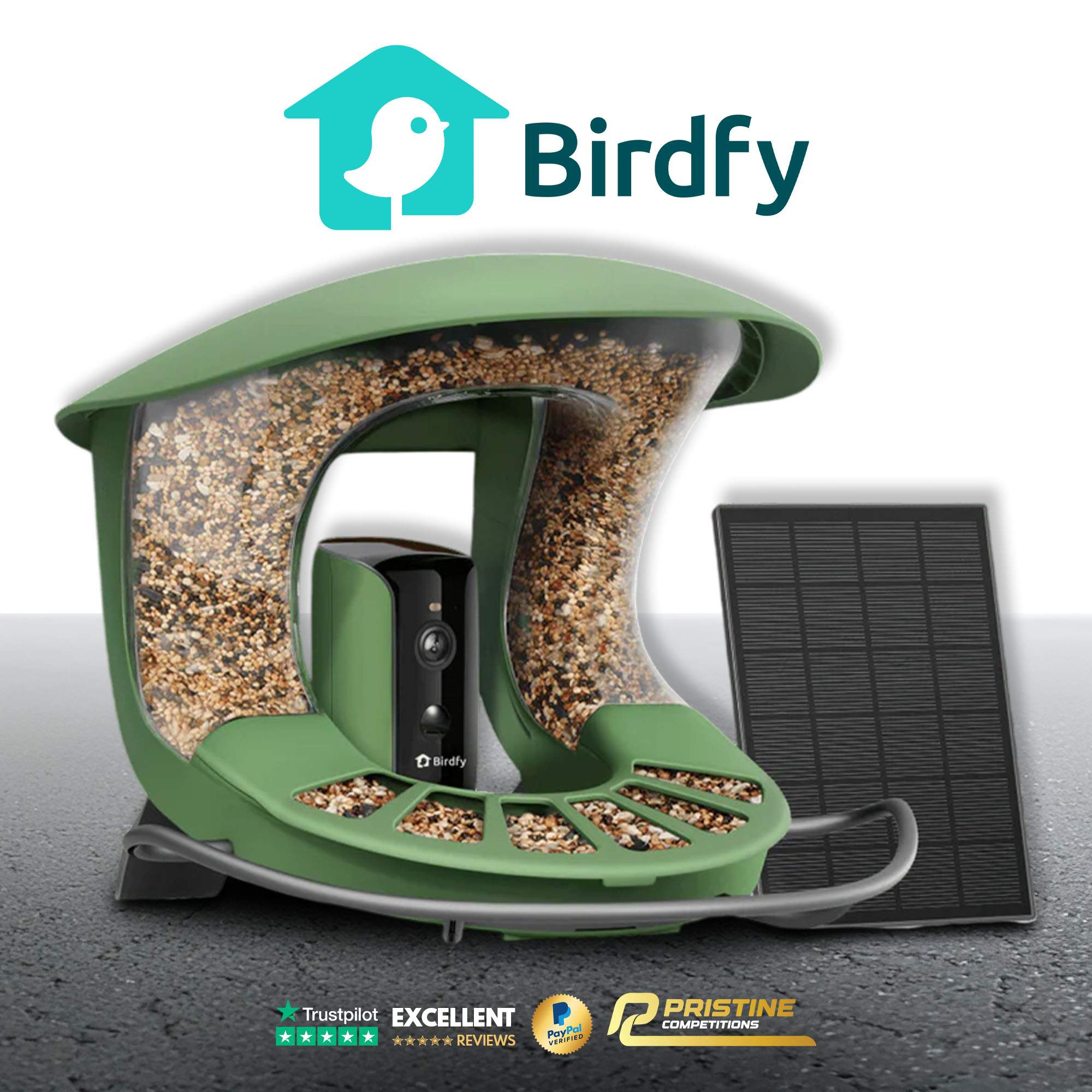Birdfy Feeder 2