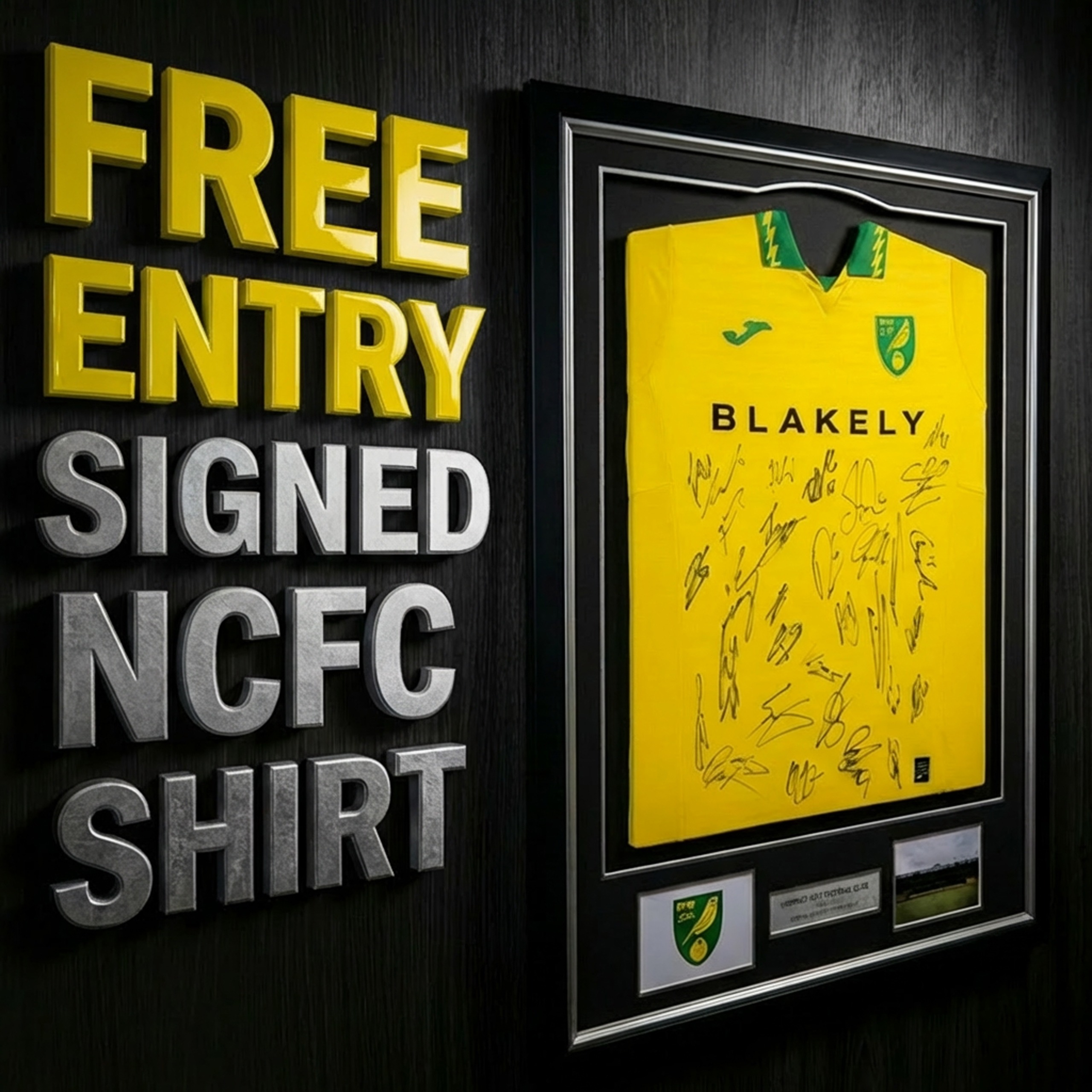 FREE ENTRY – SIGNED NORWICH CITY FOOTBALL CLUB SHIRT!