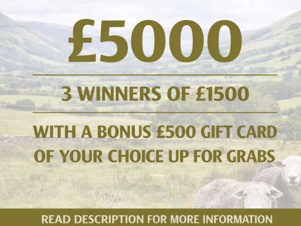 £5000, 3 winners + bonus £500 gift card