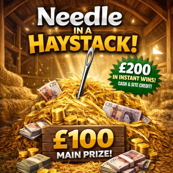 Needle In A Haystack