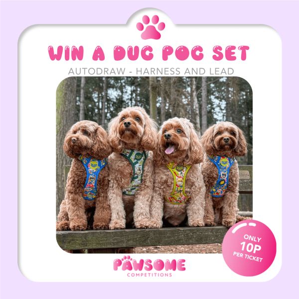 AUTODRAW – WIN A Dug Pog Harness & Lead 🐶