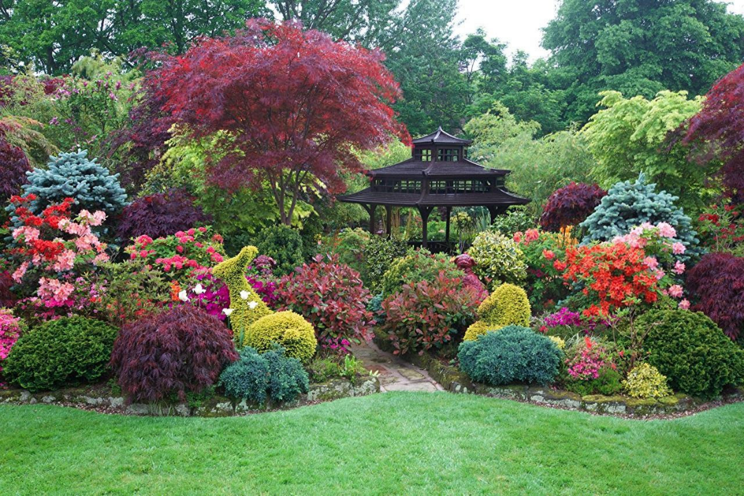 Win a Garden Clean Up