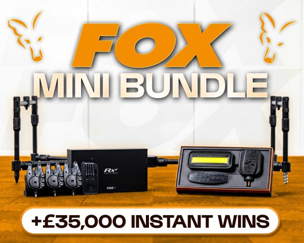 MINI FOX BUNDLE!