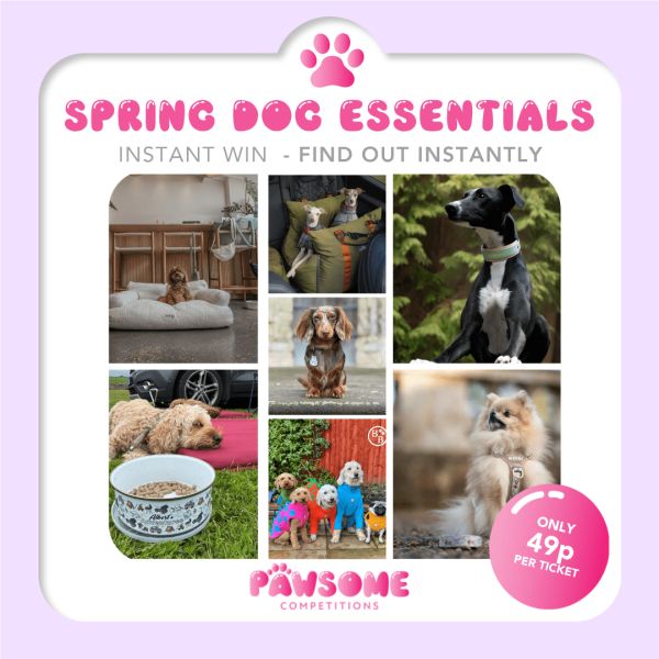 INSTANT WIN –  Spring Dog Essentials 🐶 ☀️