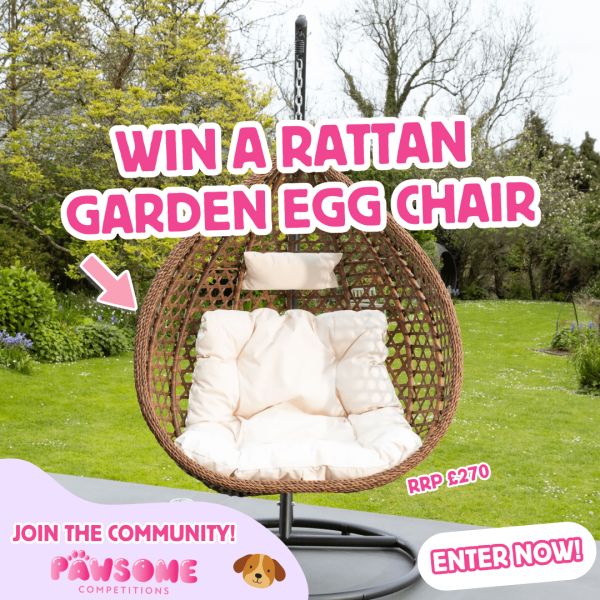 WIN A Garden Egg Chair🥚🪑