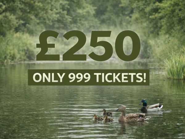 £250 Low Odds (Only 999 Tickets!)