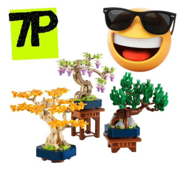 MINI BONSAI TREES - 10373