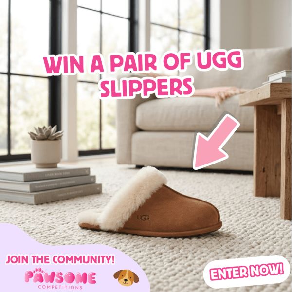 Win A Pair Of £100 Ugg Slippers ✨