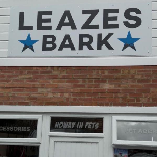 THE TOON TAIL WAGGER BUNDLE!!