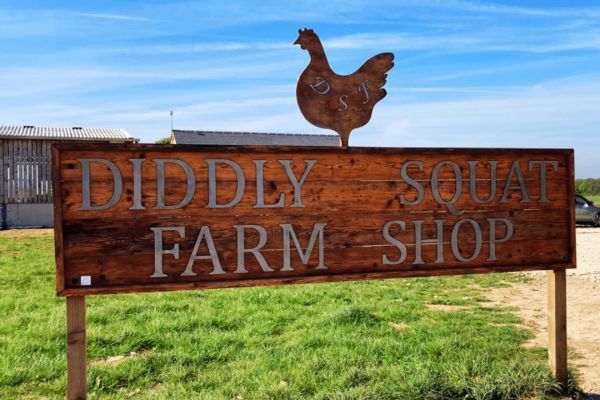 Win a Diddlly Squat Bundle