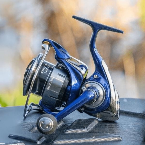 Daiwa 24 TDR 3012 QD Reel