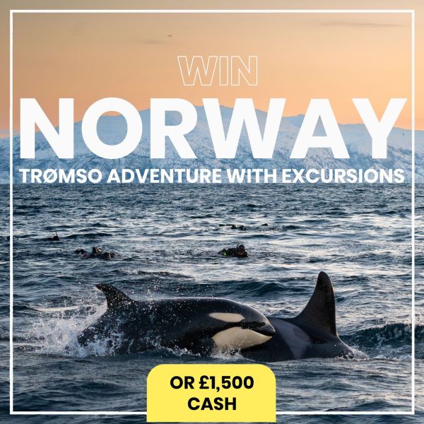 5* NORWAY Experience with Orca & Northern Lights Excursions OR £1500 CASH!
