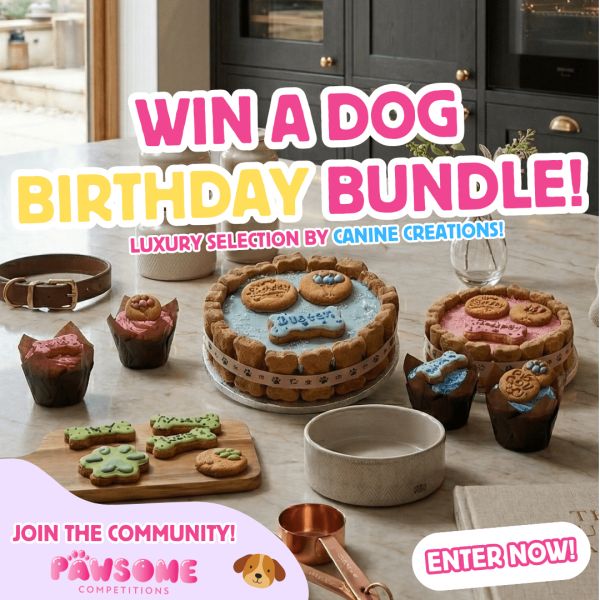 WIN A Dog Birthday Bundle🐶🍰