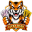 Lucky Tiger Competitions
